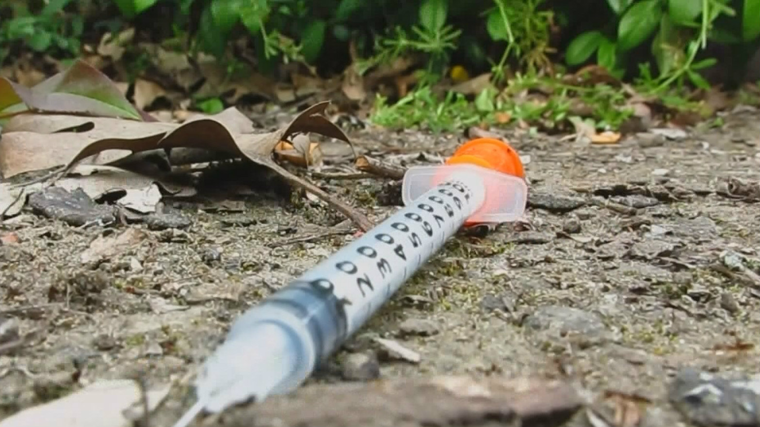 Number of dirty needles on Portland streets spiked 64 in 2017
